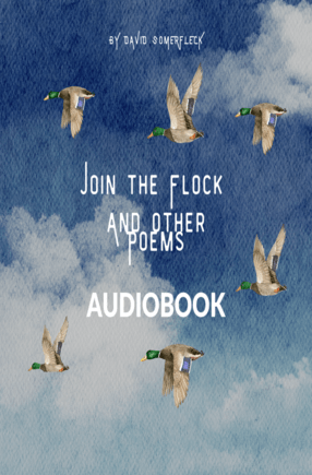 Join the Flock and Other Poems by David Somerfleck