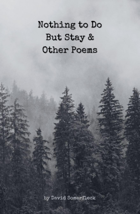 Nothing to Do But Stay and Other Poems by David Somerfleck 2026