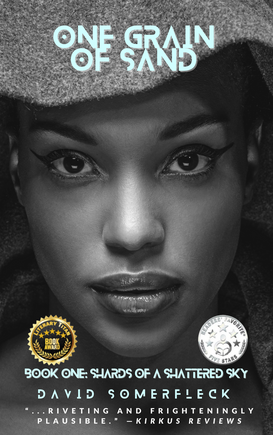 One Grain of Sand by David Somerfleck Cover