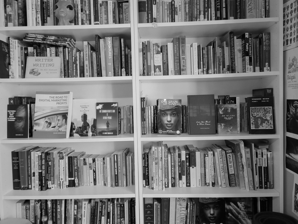 Author Bookshelf